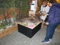 IMG_6297 - Copia.jpg