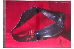 IMG_2021_04_21_09_20_27_1